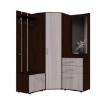 Набор мебели для прихожей "Визит-2" (дуб венге/шимо светлый)
