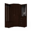 Набор мебели для прихожей "Визит-2" (дуб венге)