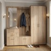 Набор мебели для прихожей "Визит-4" (дуб сонома)