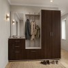 Набор мебели для прихожей "Визит-4" (шимо светлый/дуб венге)
