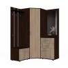 Набор мебели для прихожей "Визит-2" (дуб венге/дуб сонома)
