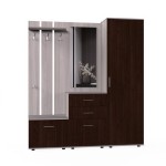Набор мебели для прихожей "Визит-1" (шимо светлый/дуб венге)