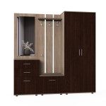 Набор мебели для прихожей "Визит-4" (дуб сонома/дуб венге)