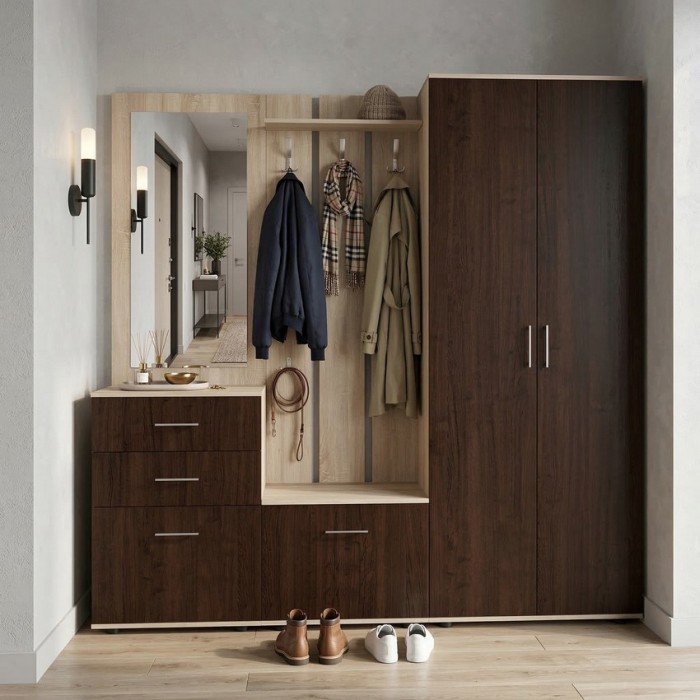 Набор мебели для прихожей "Визит-4" (дуб сонома/дуб венге)