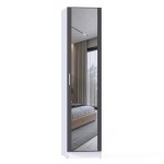 Шкаф комбинированный МР-03 (580,1 зеркало ) графит серый