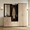 Набор мебели для прихожей "Визит-4" (дуб венге/шимо светлый)