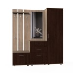 Набор мебели для прихожей "Визит-1" (дуб сонома/дуб венге)